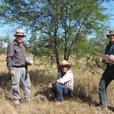 Professor Vic Galea, Paul Humphreys (Ecosure) and Peter Riikonen attending a trial site in Rockhampton.